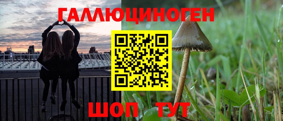Галлюциногенные грибы Psilocybe  Вход с VPN  Майкоп 